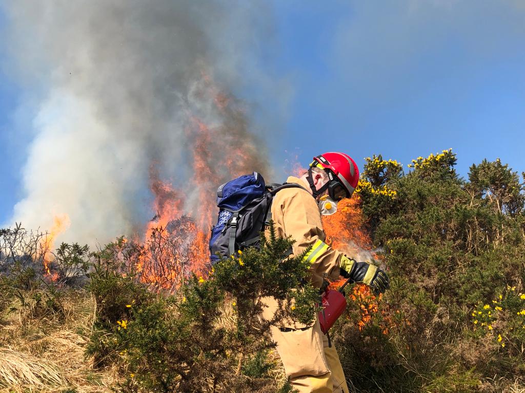 firefighter control burning gorse