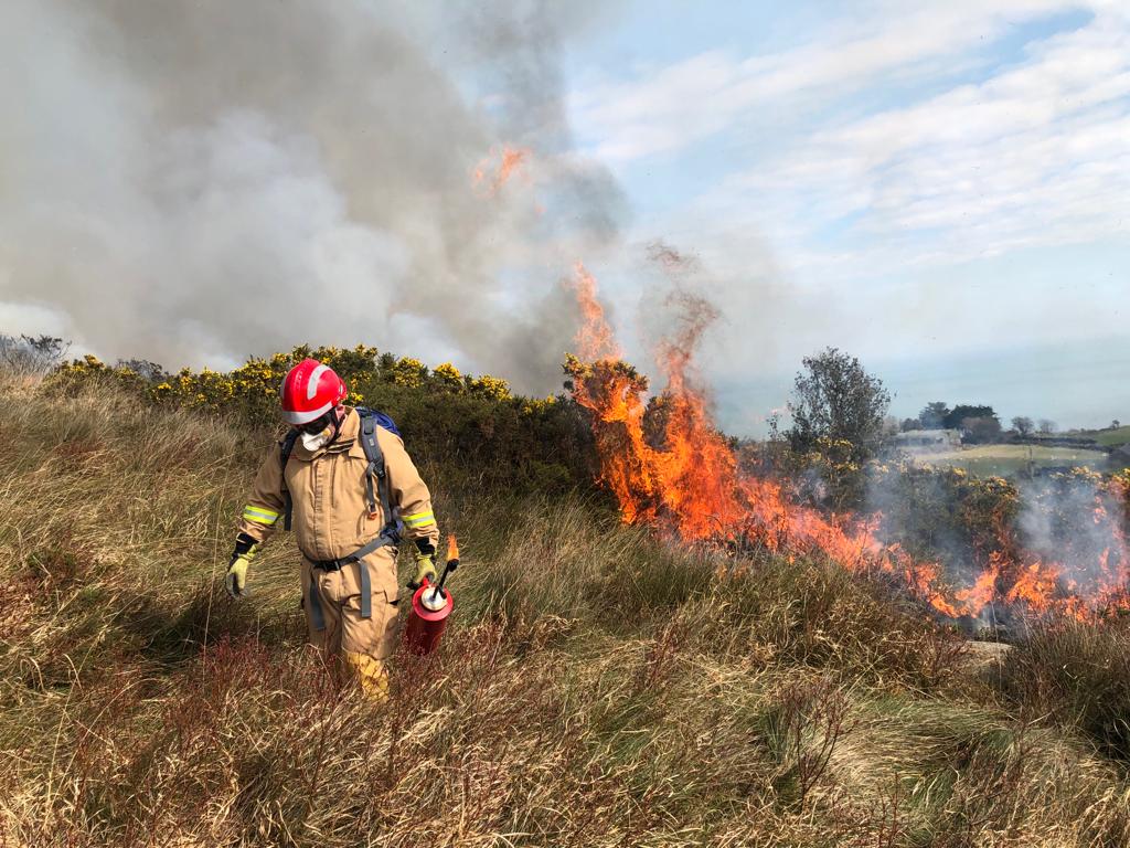 Firefighter control burning gorse