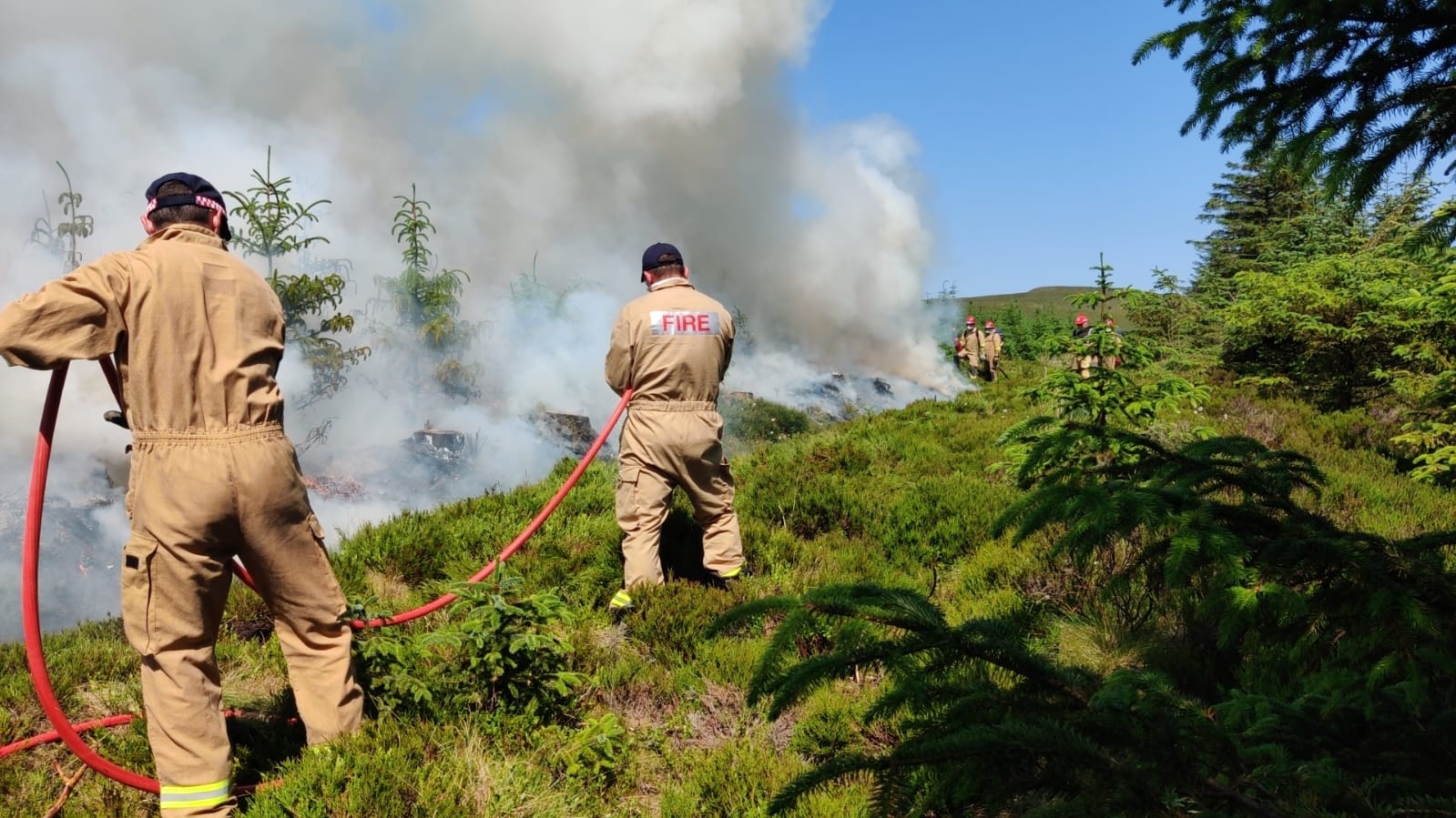 Firefighters tackle Glenariff wildfire